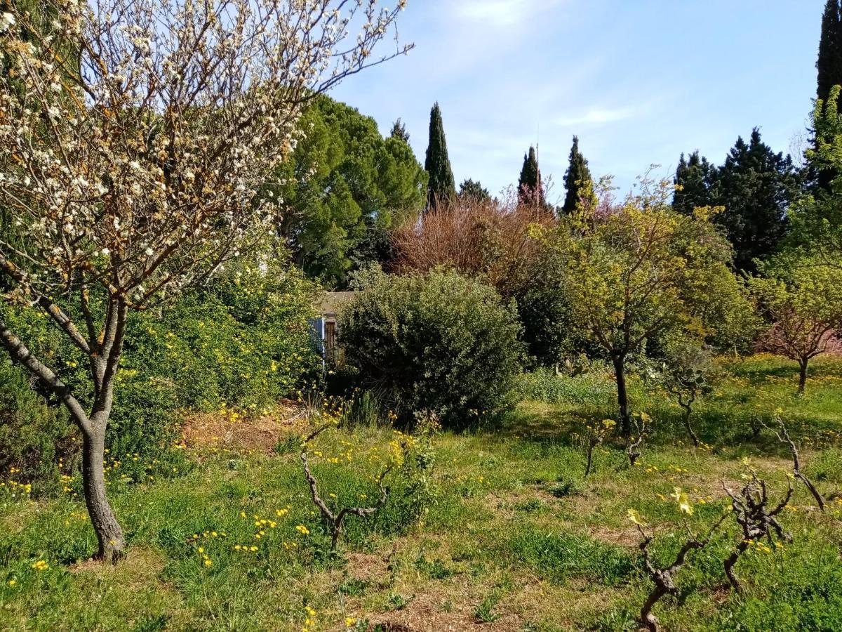 Au Mas Saint Pierre Hotel Pignans Luaran gambar